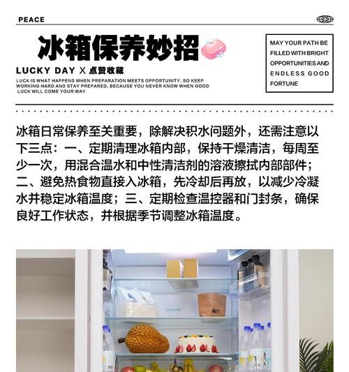 冰箱内漏的原因及处理方法（了解冰箱内漏的原因）