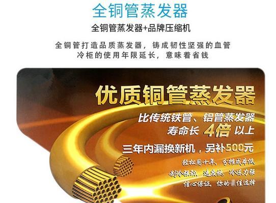 兴南冰柜的维修方法及注意事项（轻松掌握兴南冰柜的维修技巧）