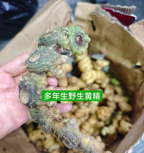 电饭煲米饭不香问题的解决方法（以电饭煲做米饭如何让米饭更香）