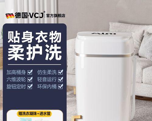 双桶洗衣机（一机两桶）