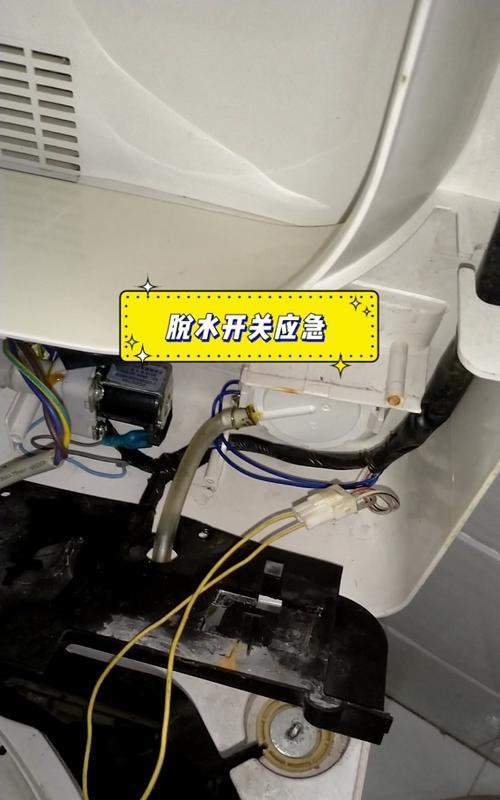 如何解决海尔洗衣机排不净的问题（一步步教你轻松维修海尔洗衣机排水问题）