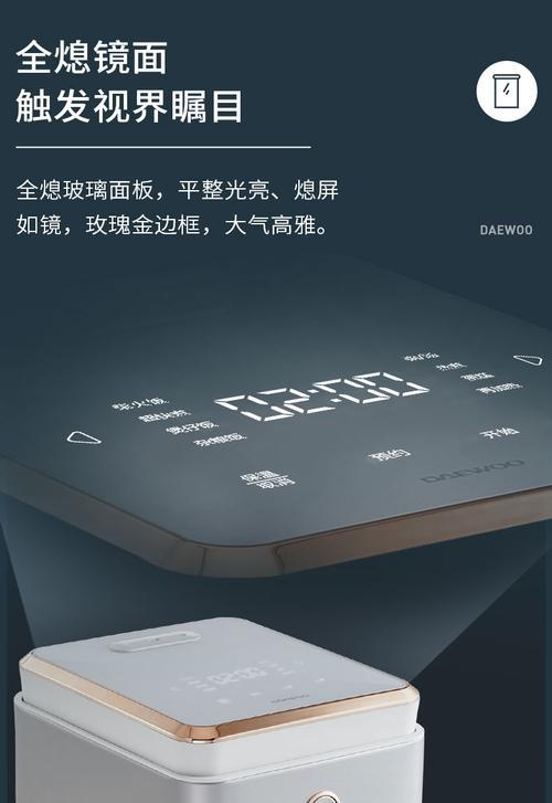 大宇电饭煲故障解决方案（解决大宇电饭煲故障的有效方法）