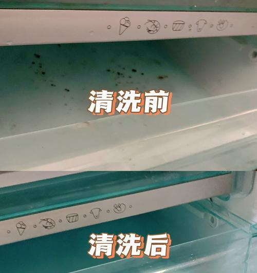 妙招姐教你清洗冰箱的妙招（轻松清洁冰箱）