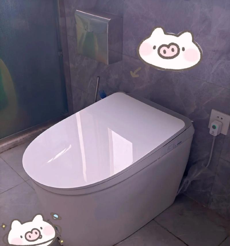 智米马桶排水阀的拆卸与安装指南（轻松掌握拆装技巧）