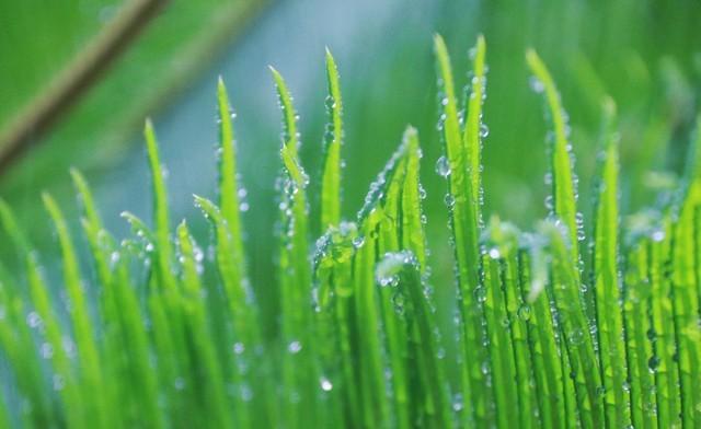 河南！局部有大雨大暴雨！具体位置分布如下！未来几天的天气预报