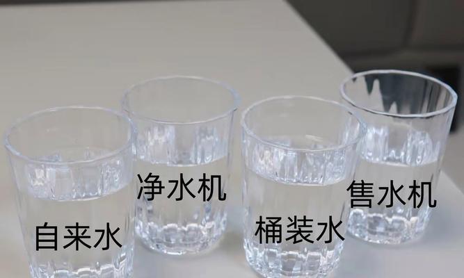 消除净水器水中泥味的方法（探讨去除净水器水中泥味的有效途径）