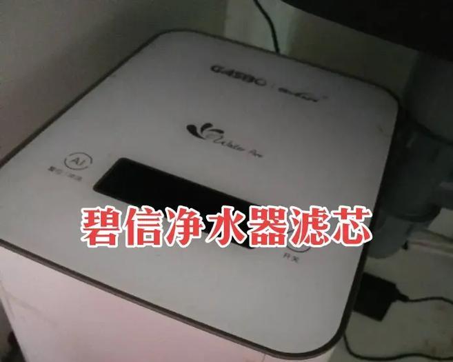 碧信净水器不工作的原因及解决方法（让您的碧信净水器恢复正常运行的关键步骤）