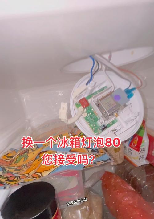 为什么冰箱开启后灯不亮（探究冰箱灯不亮的原因及解决方法）