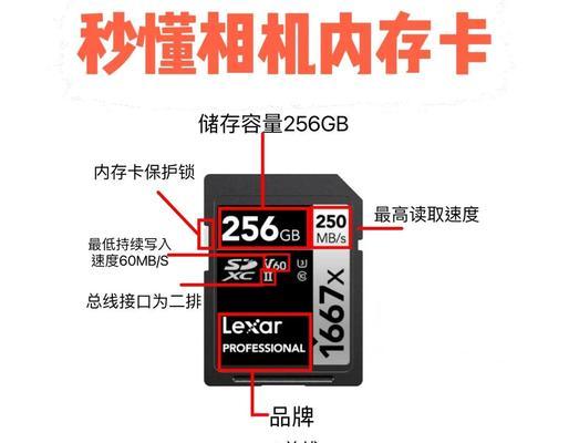 运动相机如何取出存储卡？操作步骤是什么？