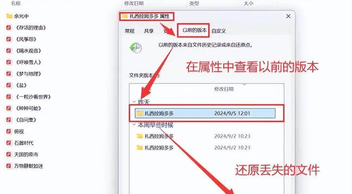 电脑系统误删怎么办（教你恢复误删文件的有效方法）
