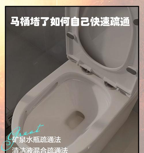 如何自己快速疏通虹吸式马桶堵塞问题（解决虹吸式马桶堵塞的实用方法和技巧）