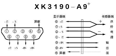以地磅显示器有净电的原因（深入探究地磅显示器净电的必要性和作用）