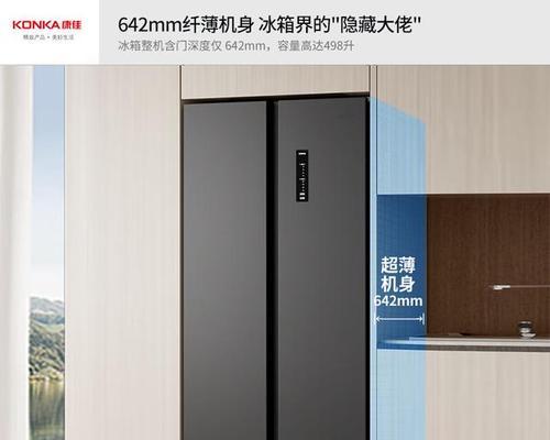 如何选择适合自家的冰箱品牌（探索冰箱品牌）