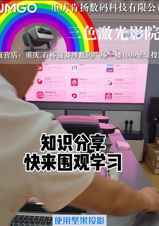 坚果投影仪突然响声大问题解决方法（如何解决坚果投影仪突然响声大的困扰）