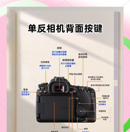 小八为什么挂着个相机？在使用过程中可能会遇到哪些问题？