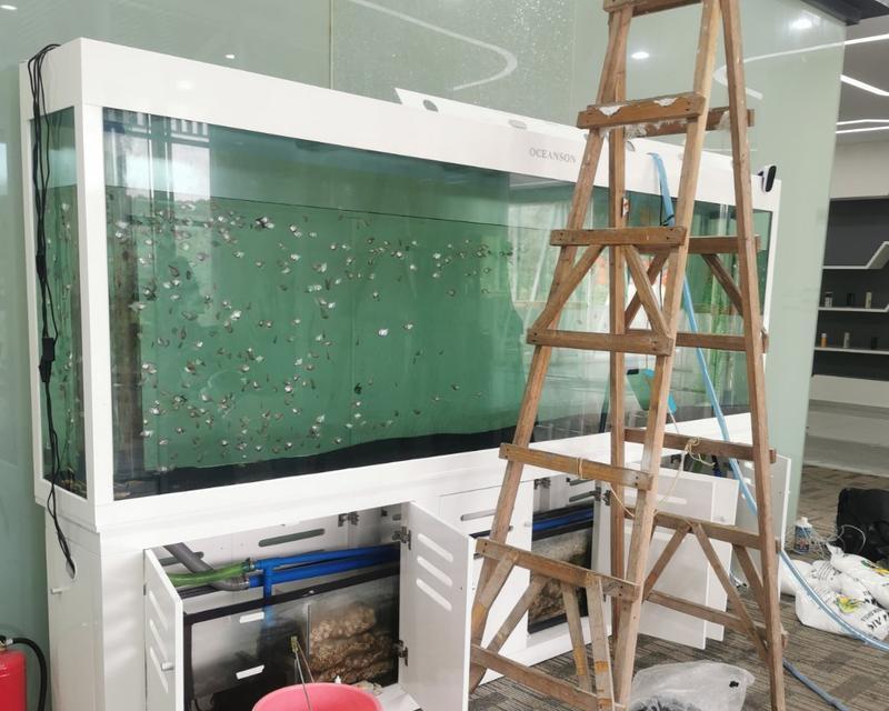 鱼缸靠近冰箱的问题及解决方法（冰箱与鱼缸距离过近会对鱼类造成哪些影响）