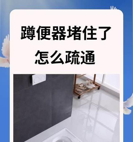 蹲便堵塞了怎么办（快速解决堵塞的方法及预防措施）