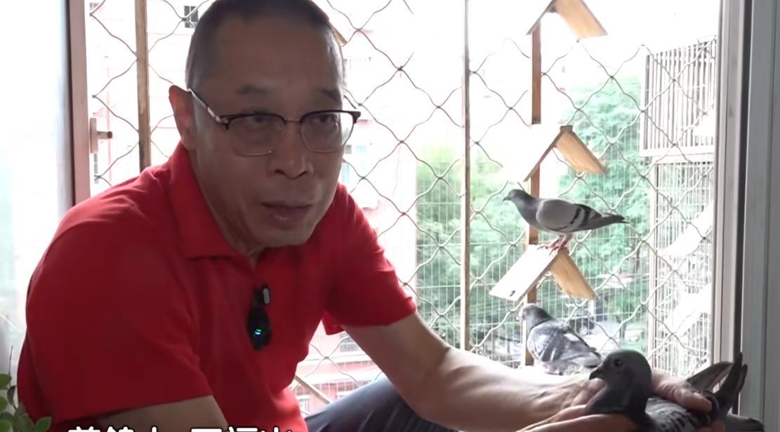 93阅兵后的“小意外”！8万和平鸽有的5分钟到家，有的迷路被偶遇