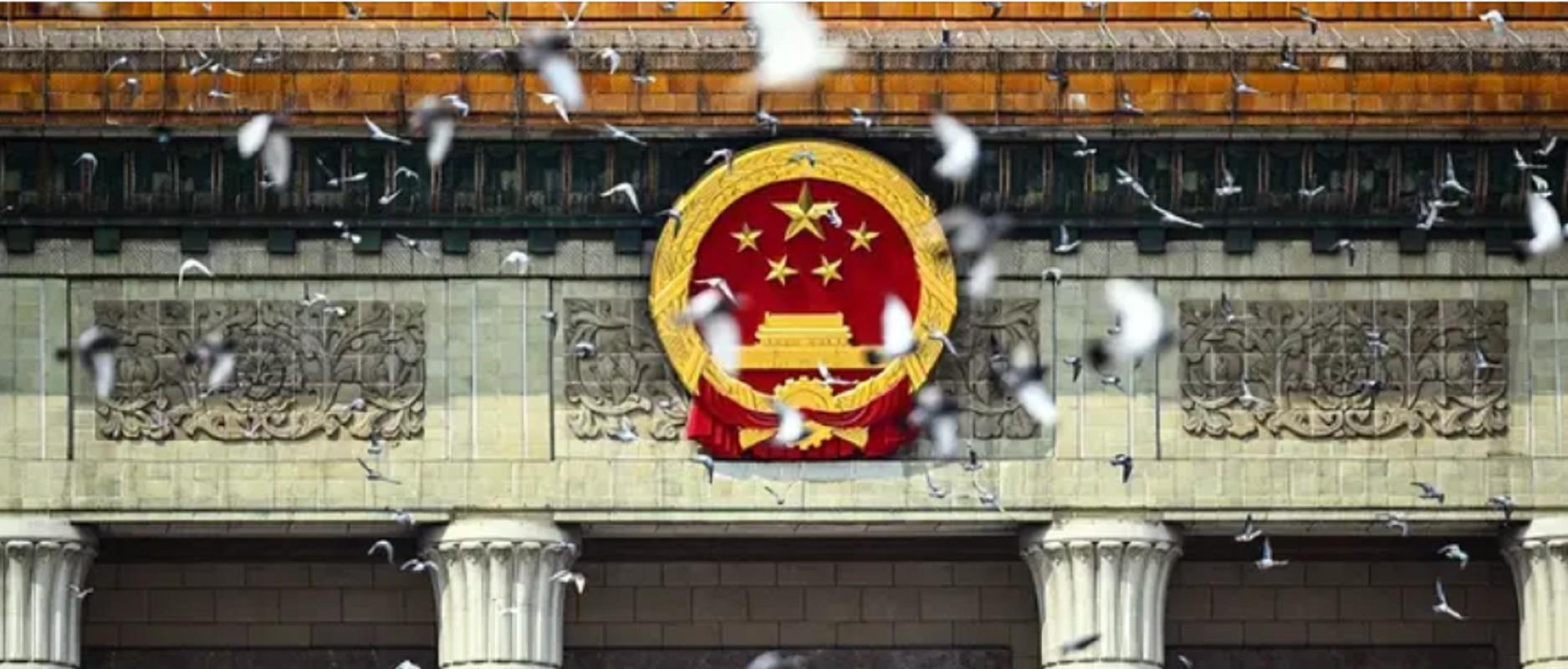 93阅兵后的“小意外”！8万和平鸽有的5分钟到家，有的迷路被偶遇