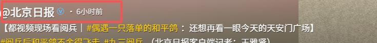 93阅兵后的“小意外”！8万和平鸽有的5分钟到家，有的迷路被偶遇