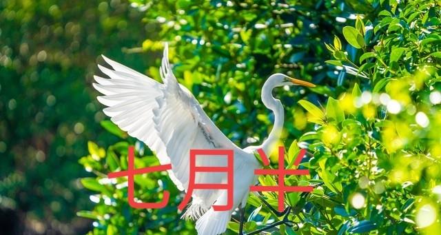“冷不冷，就看七月半”，明日七月半，今冬会冷到哭？看农谚咋说