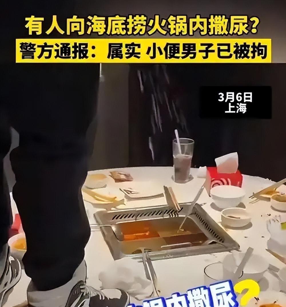 一泡尿220万！17岁熊孩子吃饭撒尿赔哭父母，海底捞损失达千万